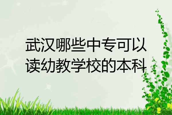 武汉哪些中专可以读幼教学校的本科