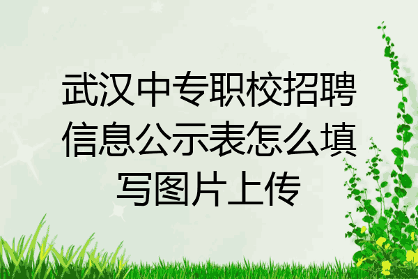 武汉中专职校招聘信息公示表怎么填写图片上传