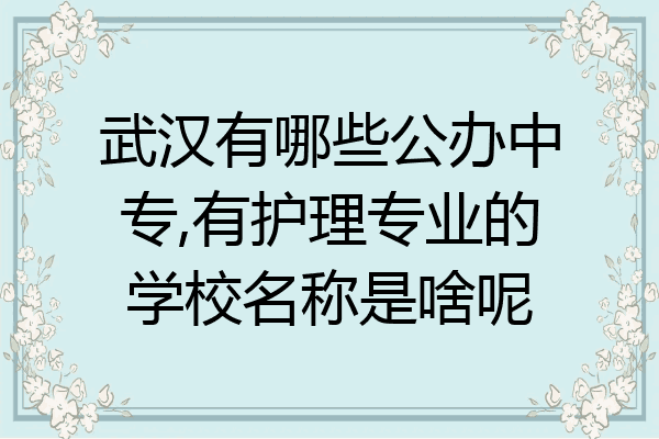 武汉有哪些公办中专,有护理专业的学校名称是啥呢