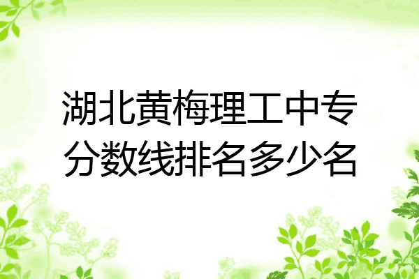 湖北黄梅理工中专分数线排名多少名