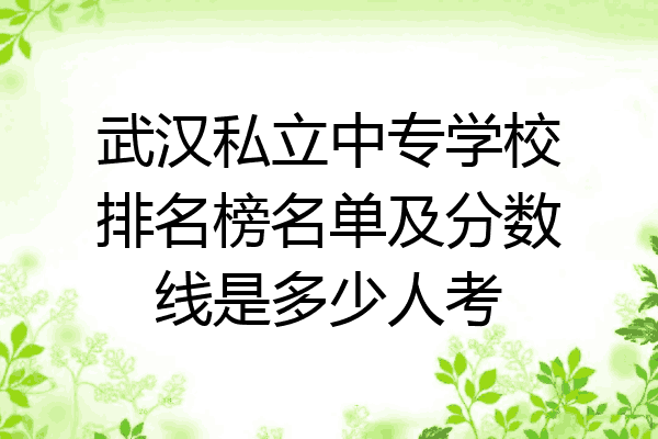 武汉私立中专学校排名榜名单及分数线是多少人考