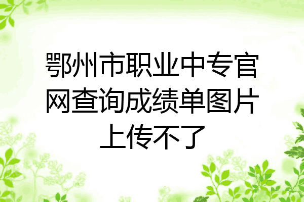 鄂州市职业中专官网查询成绩单图片上传不了
