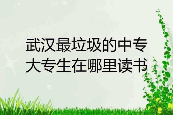 武汉最垃圾的中专大专生在哪里读书