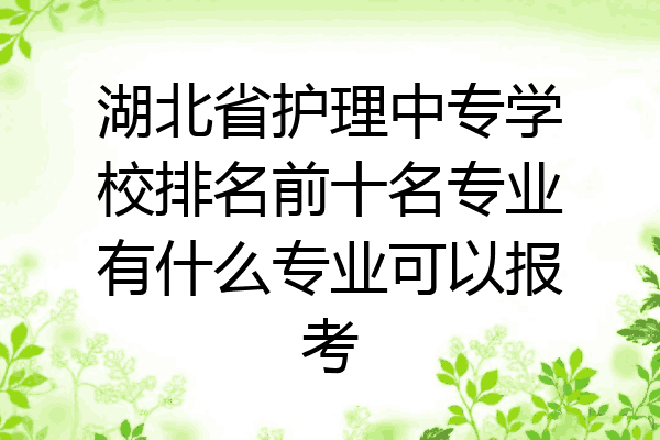 湖北省护理中专学校排名前十名专业有什么专业可以报考