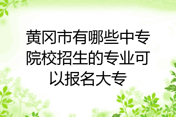 黄冈市有哪些中专院校招生的专业可以报名大专