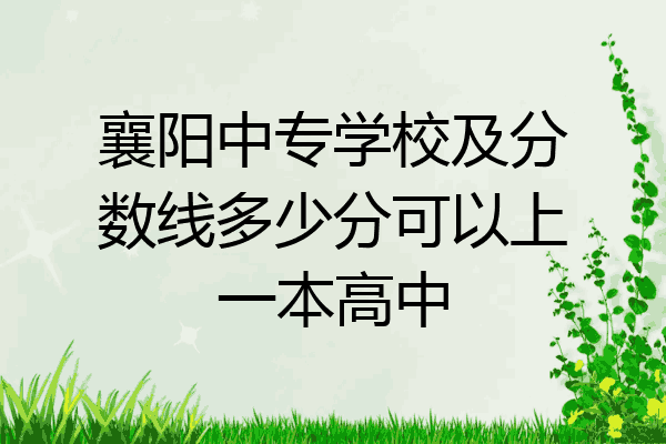 襄阳中专学校及分数线多少分可以上一本高中