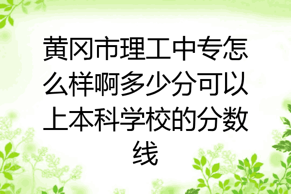 黄冈市理工中专怎么样啊多少分可以上本科学校的分数线