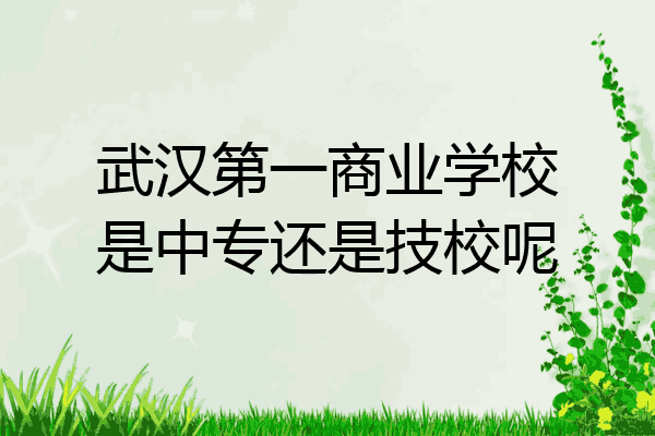 武汉第一商业学校是中专还是技校呢