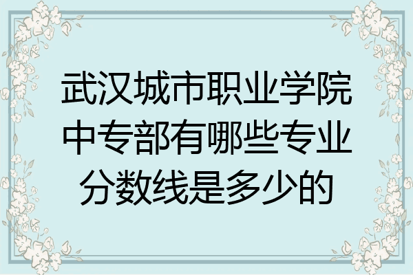 武汉城市职业学院中专部有哪些专业分数线是多少的