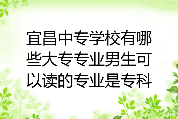 宜昌中专学校有哪些大专专业男生可以读的专业是专科