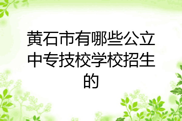 黄石市有哪些公立中专技校学校招生的