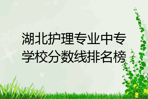 湖北护理专业中专学校分数线排名榜