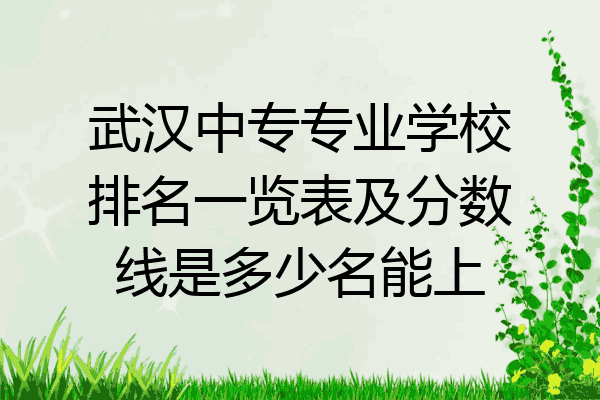 武汉中专专业学校排名一览表及分数线是多少名能上