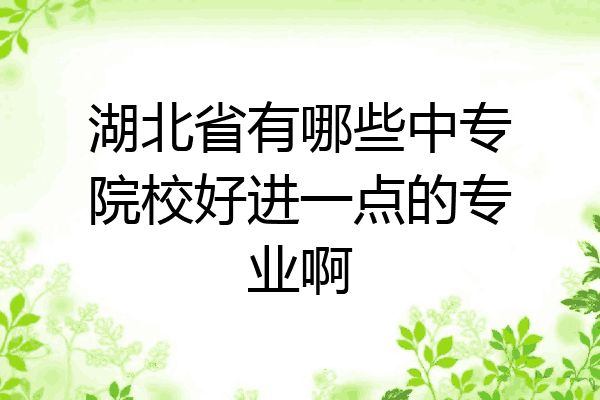 湖北省有哪些中专院校好进一点的专业啊