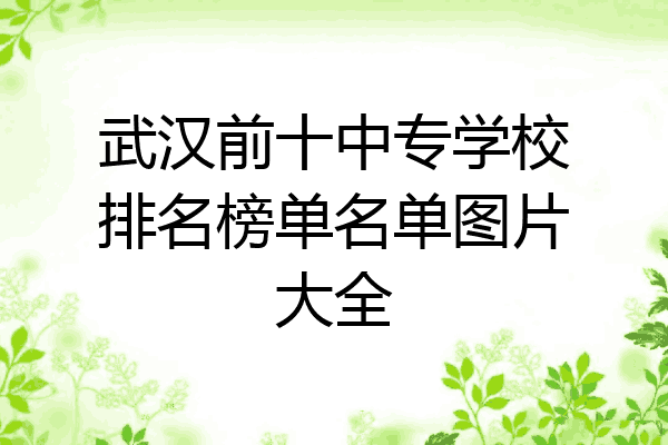 武汉前十中专学校排名榜单名单图片大全