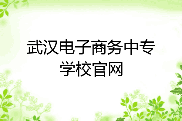 武汉电子商务中专学校官网