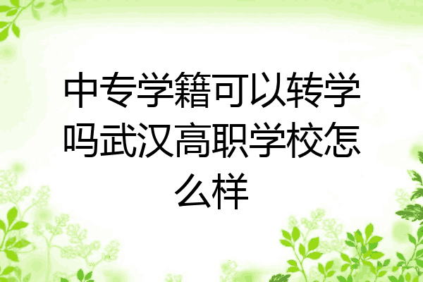 中专学籍可以转学吗武汉高职学校怎么样