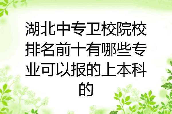 湖北中专卫校院校排名前十有哪些专业可以报的上本科的