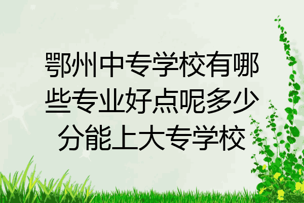 鄂州中专学校有哪些专业好点呢多少分能上大专学校