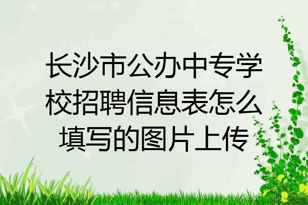 长沙市公办中专学校招聘信息表怎么填写的图片上传