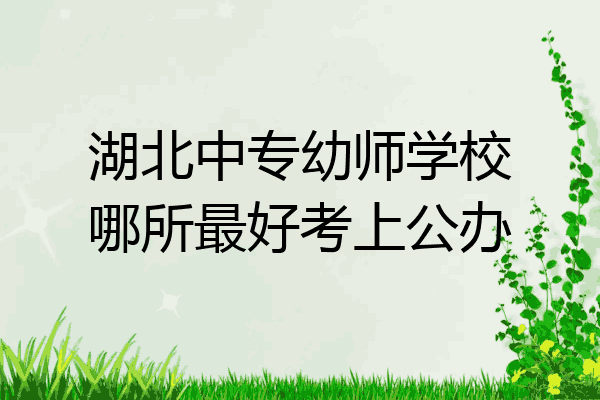 湖北中专幼师学校哪所最好考上公办