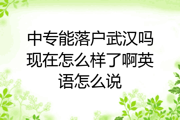中专能落户武汉吗现在怎么样了啊英语怎么说