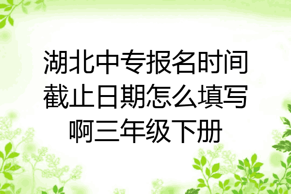 湖北中专报名时间截止日期怎么填写啊三年级下册