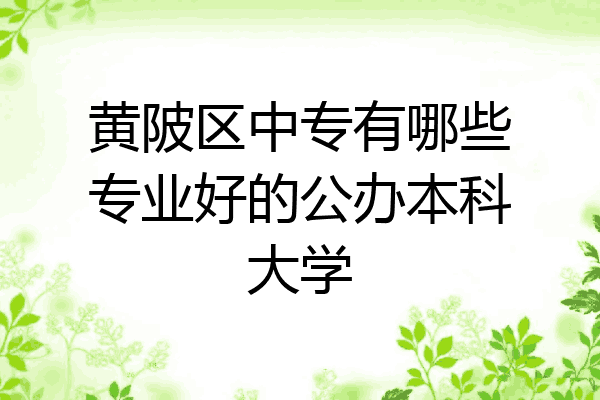 黄陂区中专有哪些专业好的公办本科大学