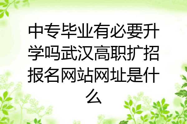 中专毕业有必要升学吗武汉高职扩招报名网站网址是什么