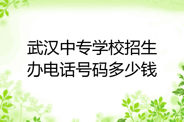 武汉中专学校招生办电话号码多少钱