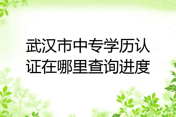 武汉市中专学历认证在哪里查询进度