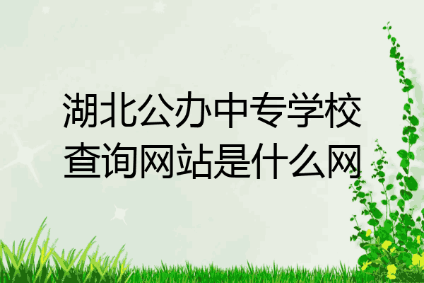 湖北公办中专学校查询网站是什么网