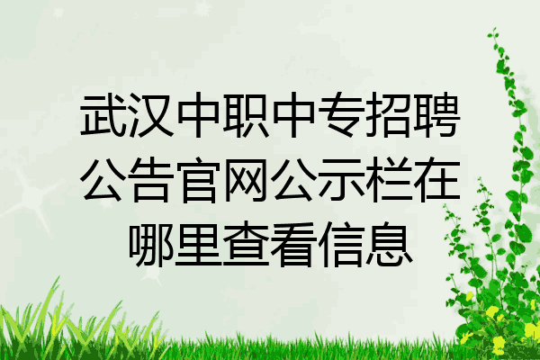 武汉中职中专招聘公告官网公示栏在哪里查看信息