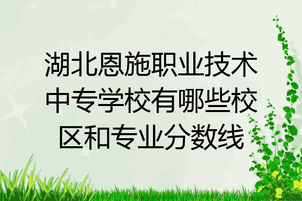 湖北恩施职业技术中专学校有哪些校区和专业分数线