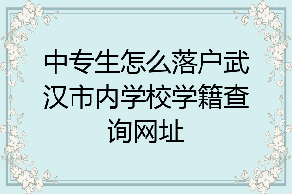 中专生怎么落户武汉市内学校学籍查询网址