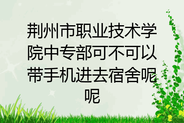荆州市职业技术学院中专部可不可以带手机进去宿舍呢呢