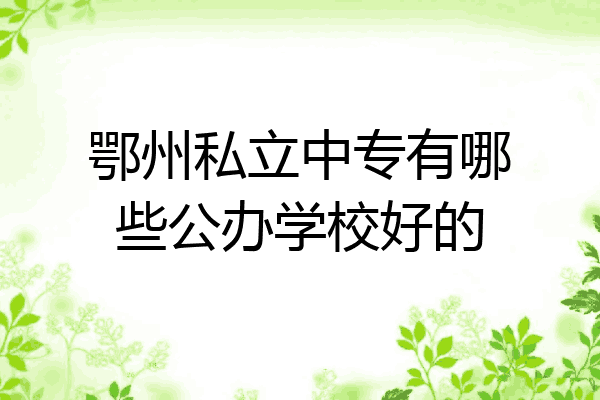 鄂州私立中专有哪些公办学校好的