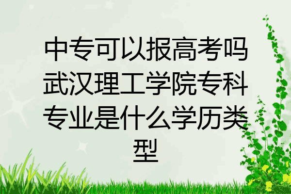 中专可以报高考吗武汉理工学院专科专业是什么学历类型