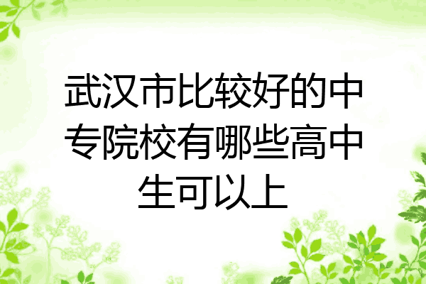 武汉市比较好的中专院校有哪些高中生可以上