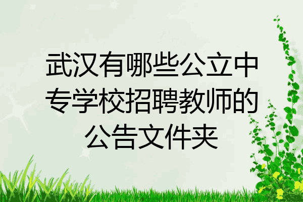 武汉有哪些公立中专学校招聘教师的公告文件夹