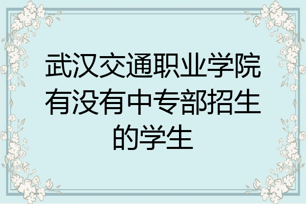 武汉交通职业学院有没有中专部招生的学生