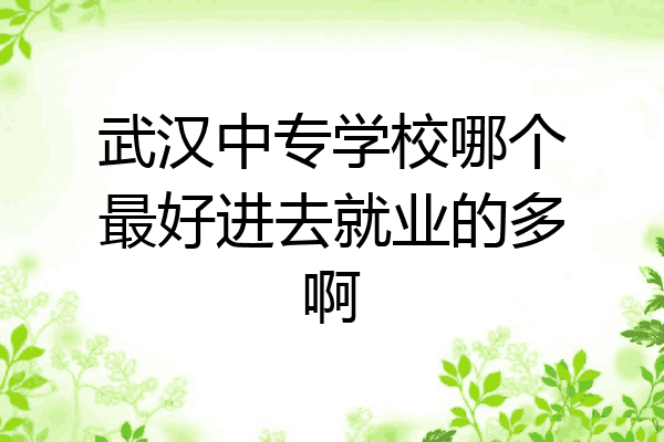 武汉中专学校哪个最好进去就业的多啊