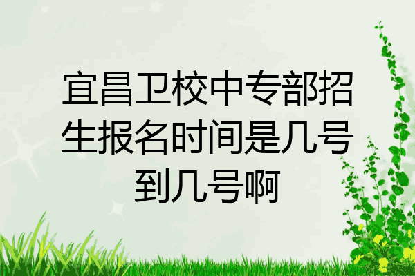 宜昌卫校中专部招生报名时间是几号到几号啊