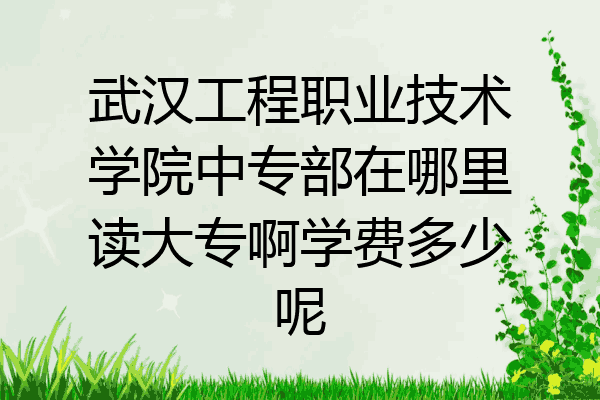 武汉工程职业技术学院中专部在哪里读大专啊学费多少呢