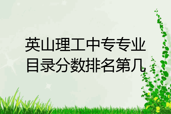 英山理工中专专业目录分数排名第几