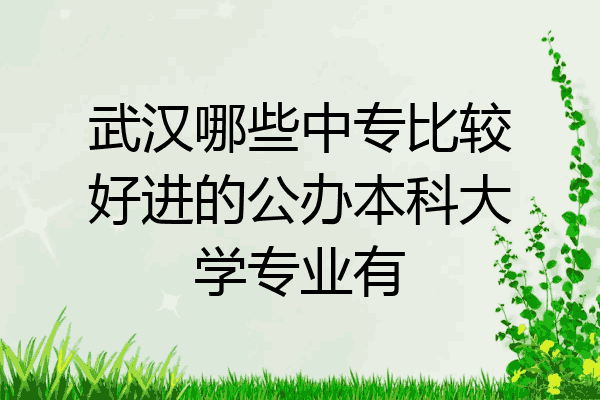 武汉哪些中专比较好进的公办本科大学专业有