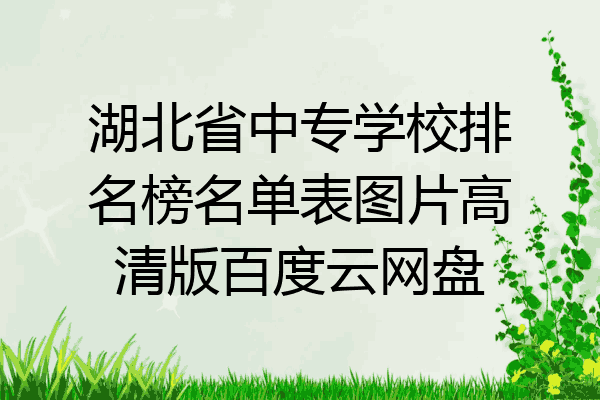 湖北省中专学校排名榜名单表图片高清版百度云网盘
