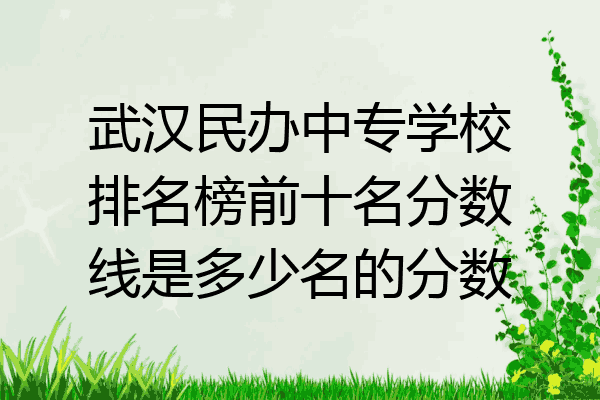 武汉民办中专学校排名榜前十名分数线是多少名的分数