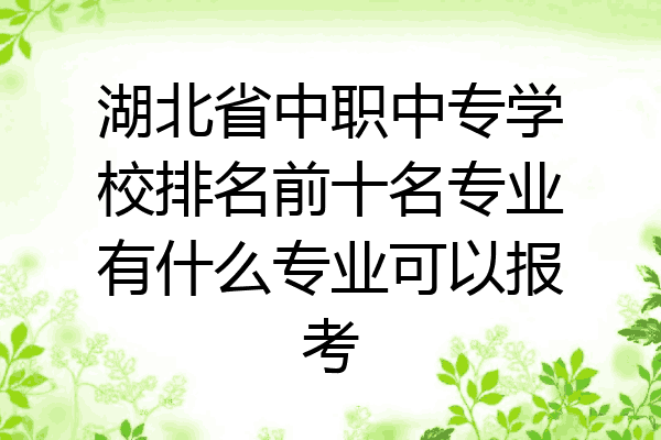 湖北省中职中专学校排名前十名专业有什么专业可以报考