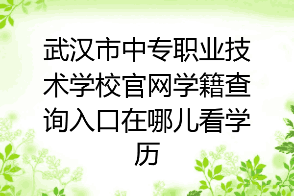 武汉市中专职业技术学校官网学籍查询入口在哪儿看学历